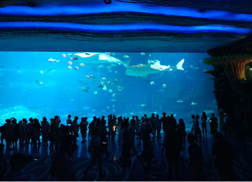 易凱軟件珠海海洋王國-海泉灣大酒店兩日遊 