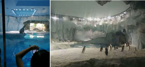 易凱軟件珠海海洋王國-海泉灣大酒店兩日遊 