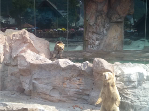 易凱軟件珠海海洋王國-海泉灣大酒店兩日遊