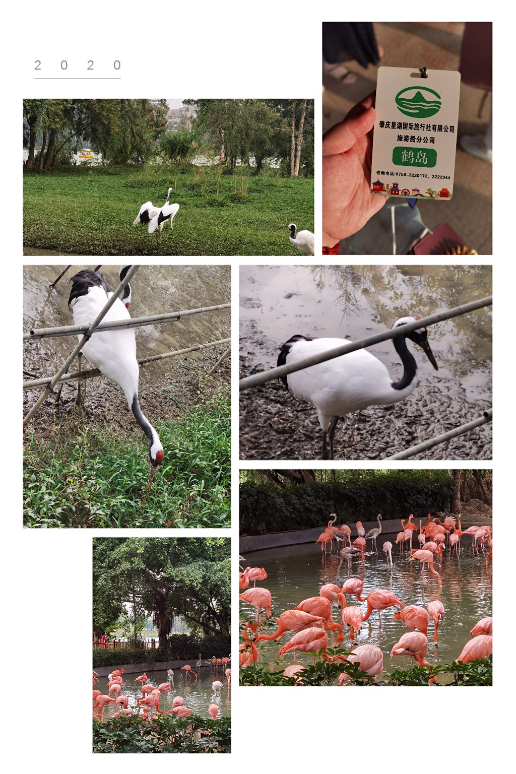 易凱軟件公司旅遊